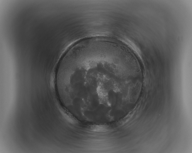 X0000113080107200909041137