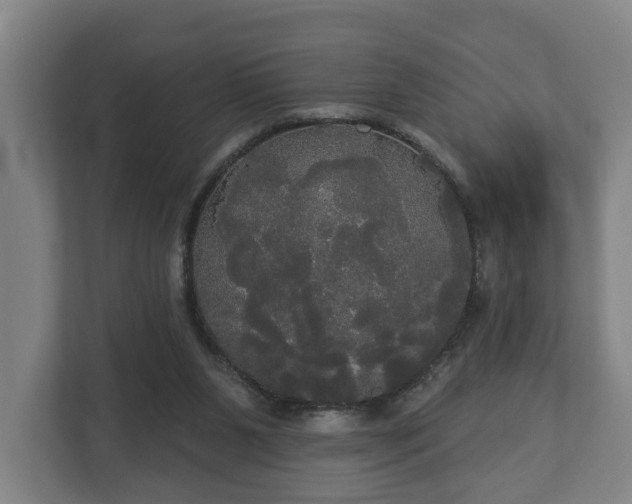 X0000113080111200909041137