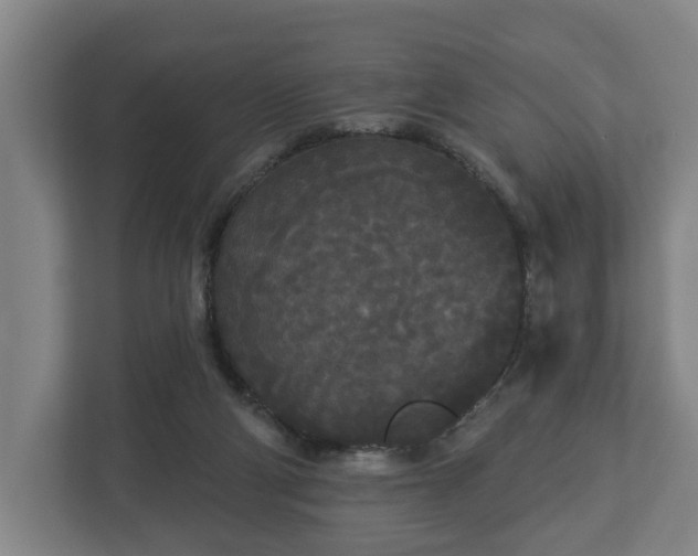 X0000113080114200909041137