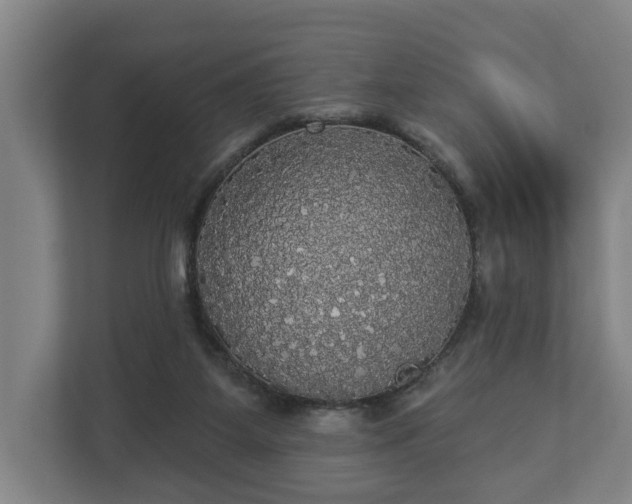 X0000113080115200909041137