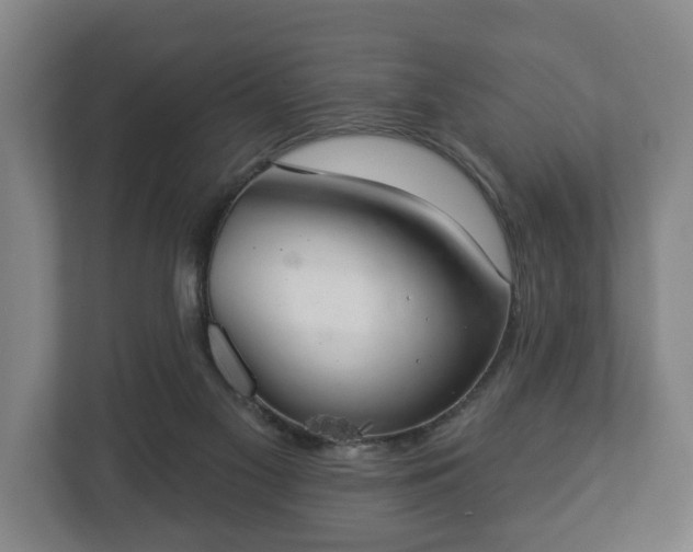 X0000113080117200909041137