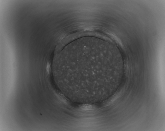 X0000113080123200909041136