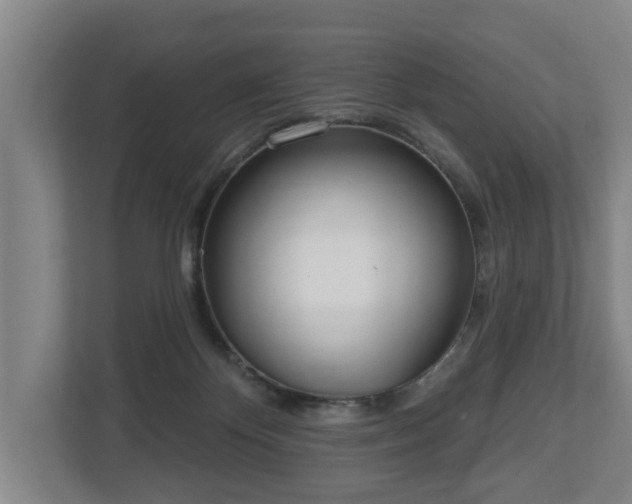 X0000113080124200909041136