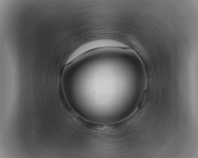 X0000113080125200909041136