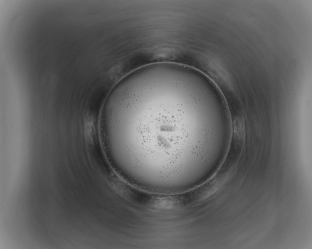 X0000113080127200909041136