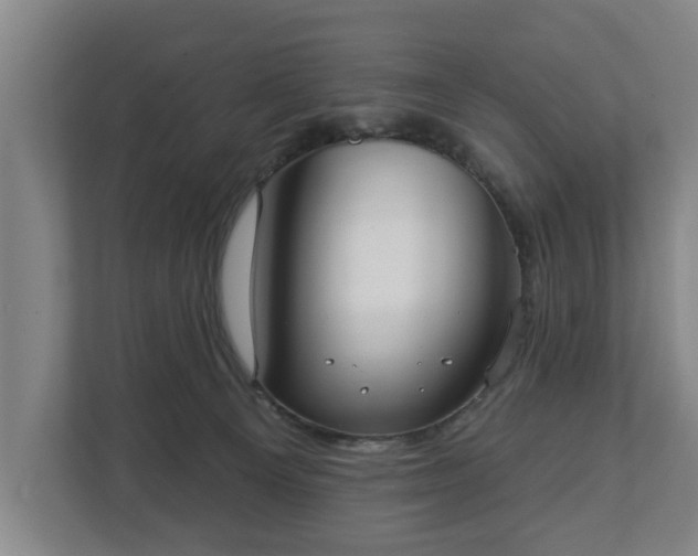 X0000113080129200909041136