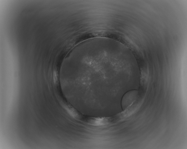 X0000113080130200909041136