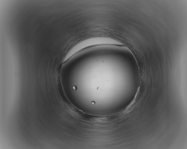 X0000113080132200909041136