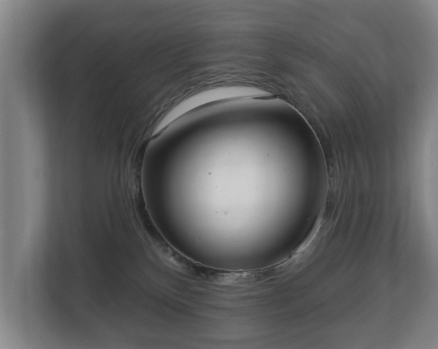 X0000113080136200909041136