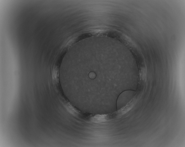 X0000113080138200909041136