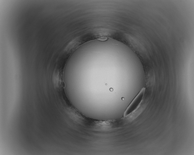 X0000113080140200909041136