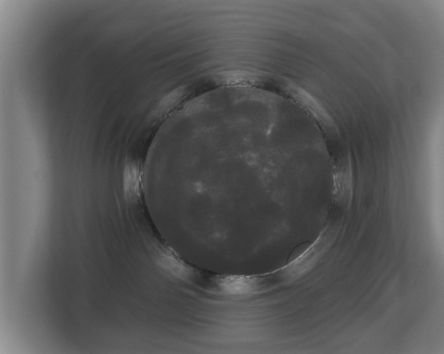 X0000113080142200909041136