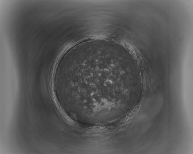 X0000113080145200909041136