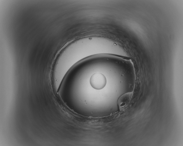 X0000113080146200909041136