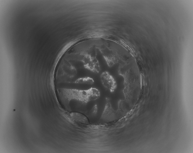 X0000113080147200909041136