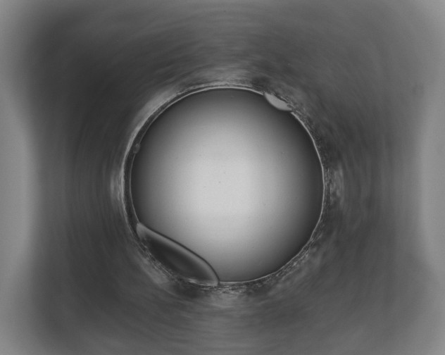 X0000113080148200909041136