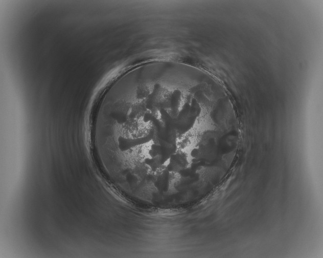 X0000113080149200909041136