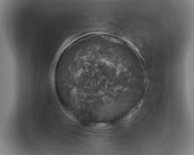 X0000113080151200909041136