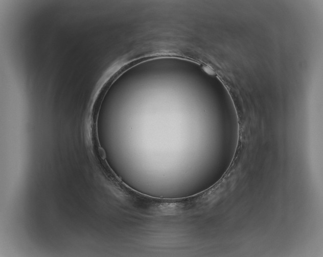 X0000113080152200909041136