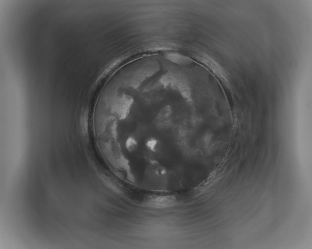 X0000113080155200909041136