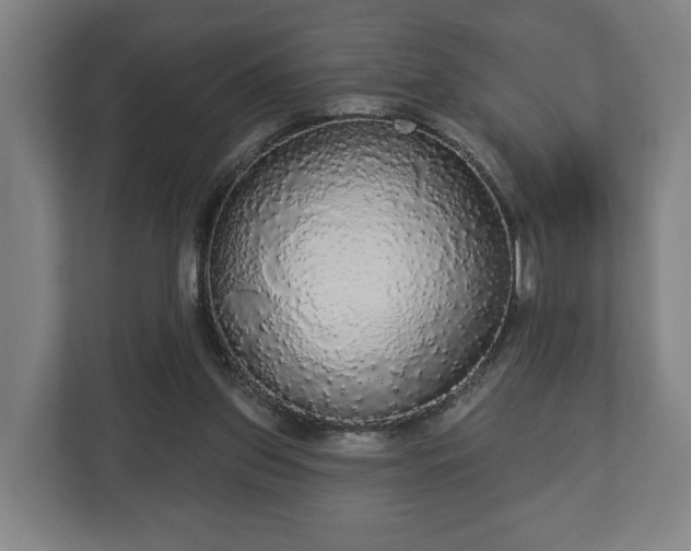 X0000113080157200909041136