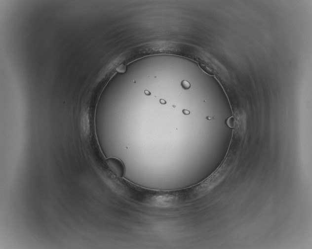 X0000113080158200909041136