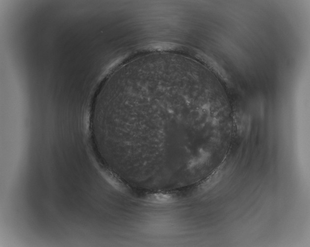 X0000113080159200909041136