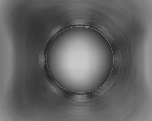 X0000113080160200909041136