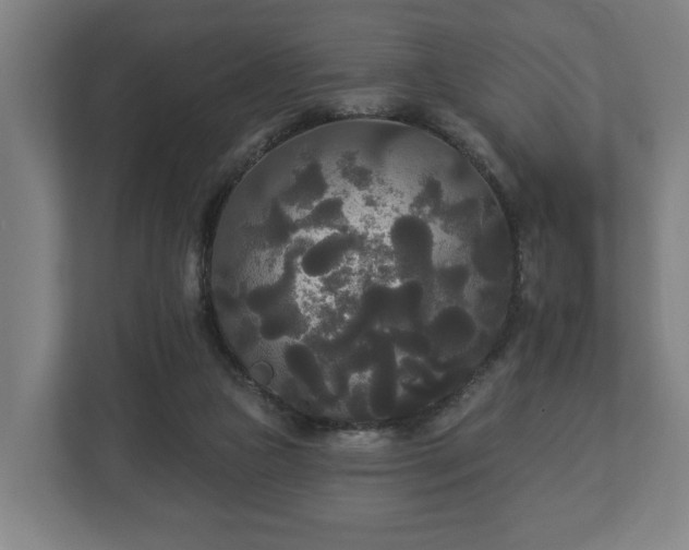 X0000113080161200909041136