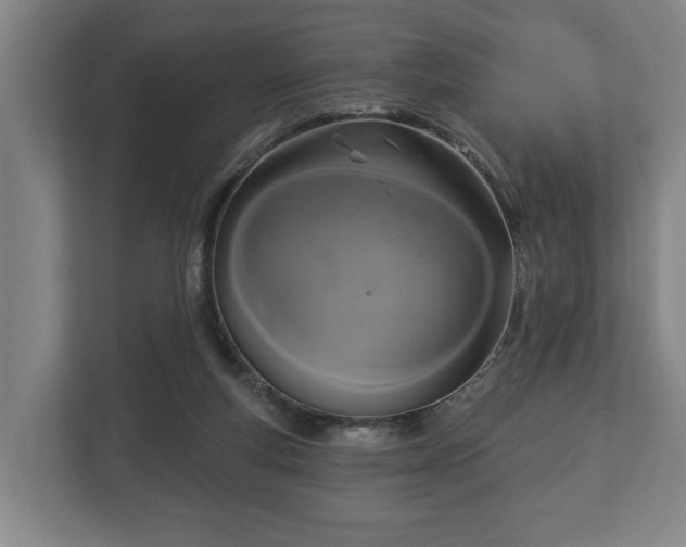 X0000113080163200909041136