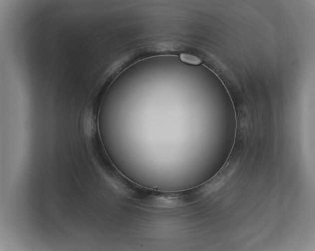 X0000113080164200909041136