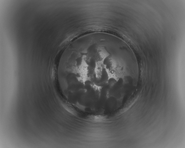 X0000113080165200909041136