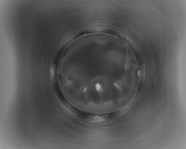 X0000113080166200909041136