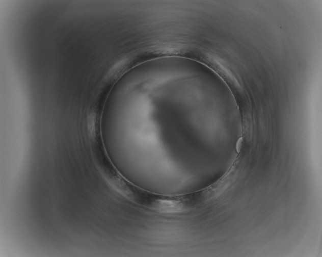 X0000113080167200909041136