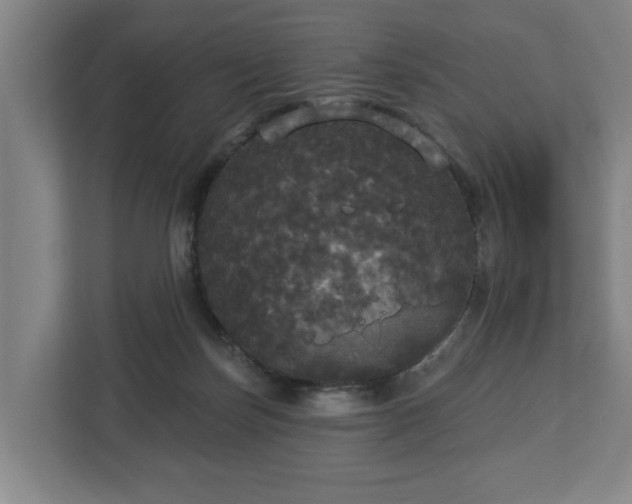 X0000113080171200909041136