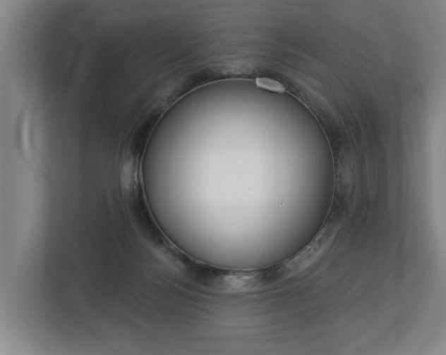 X0000113080172200909041136