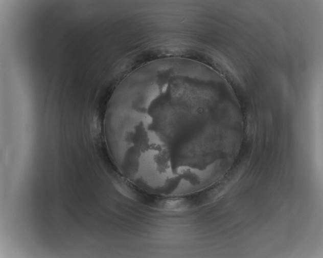 X0000113080173200909041136