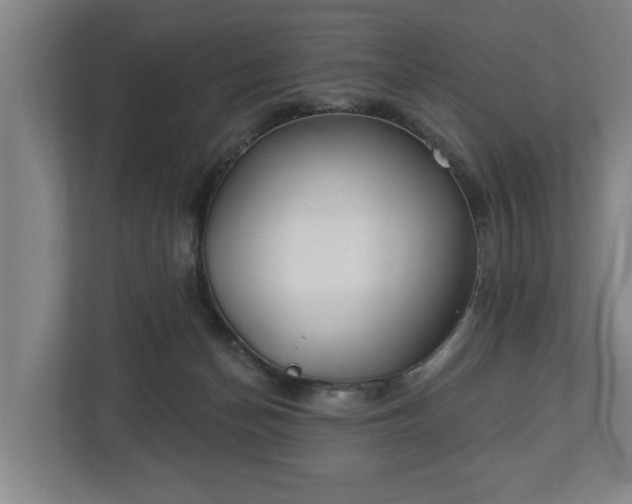 X0000113080174200909041136