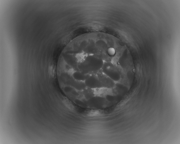 X0000113080177200909041136