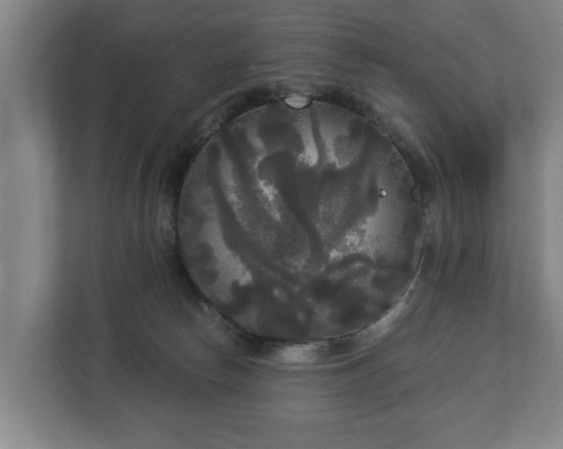 X0000113080178200909041136