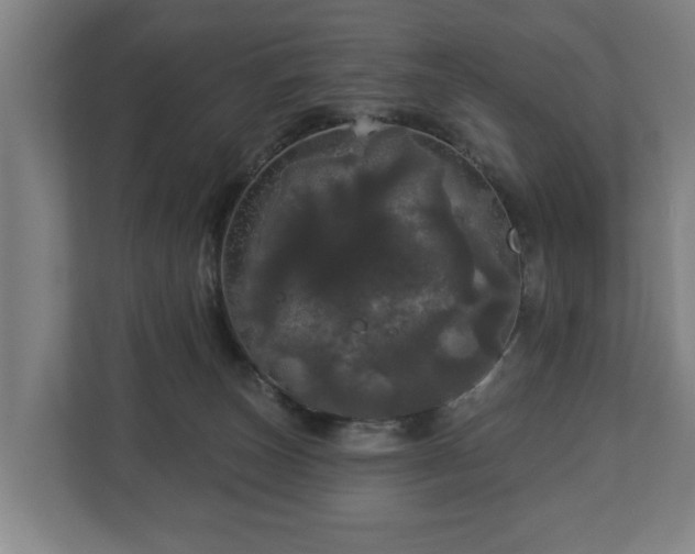 X0000113080179200909041136