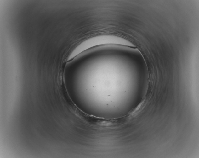 X0000113080180200909041136