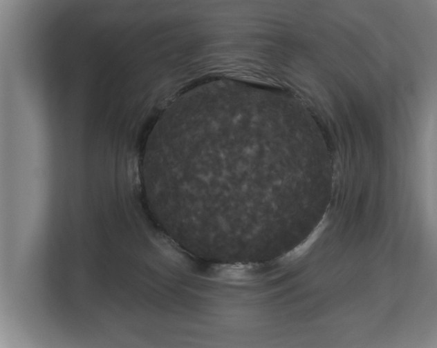 X0000113080182200909041136