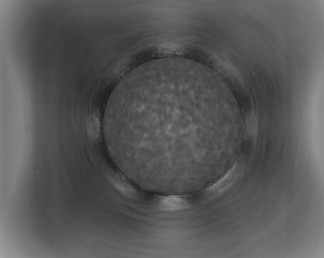 X0000113080183200909041136