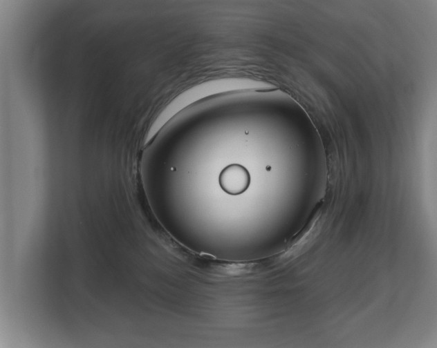 X0000113080184200909041136