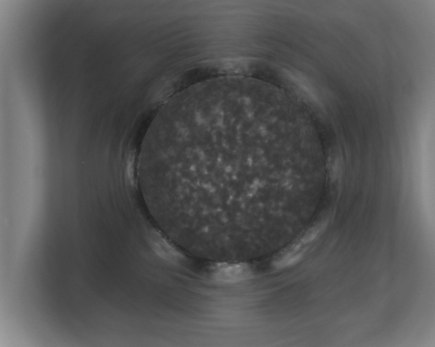 X0000113080185200909041136