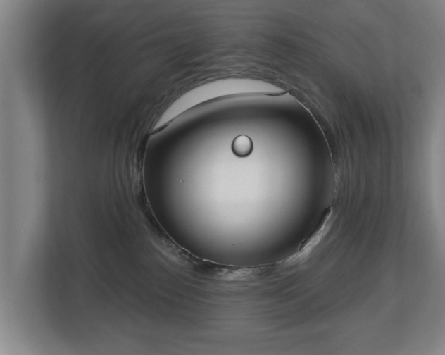 X0000113080186200909041136