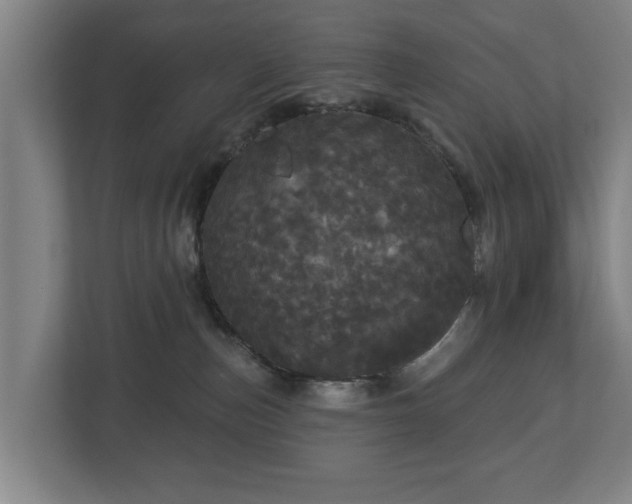 X0000113080187200909041136