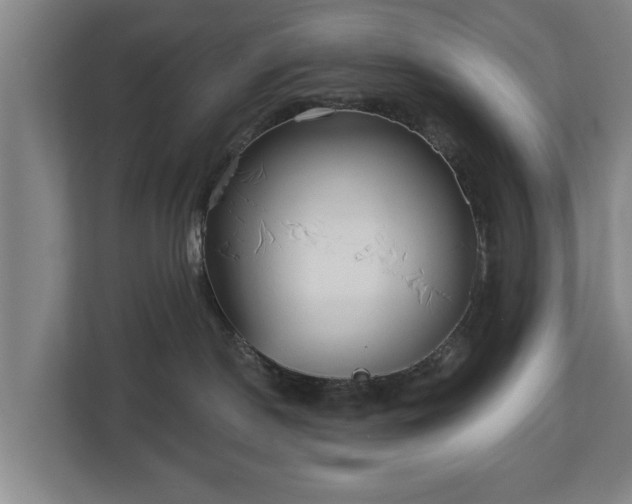 X0000113080190200909041136