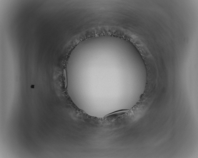 X0000113080192200909041136